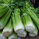 An Overview of Celeriac the Root Celery Vegetable