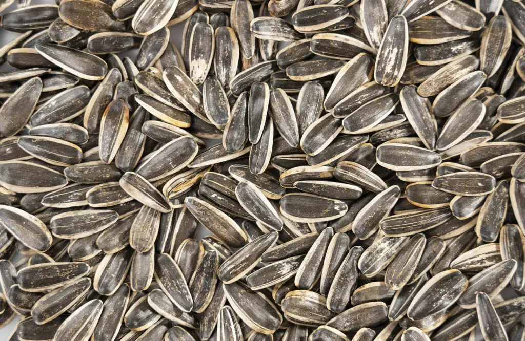 Sunflower Seed, Good for your, Good for Your Heart