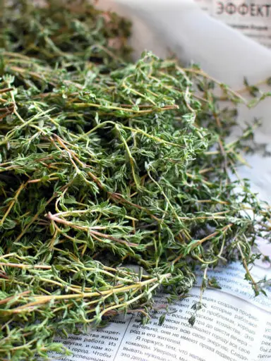 Thyme Herb